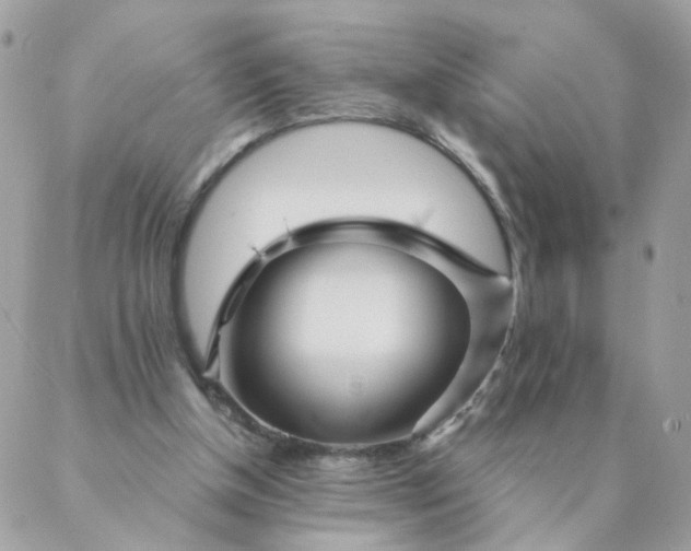 X0000087380154200705041954