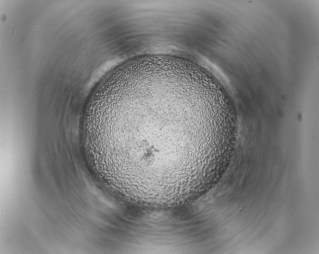 X0000087380155200705041954