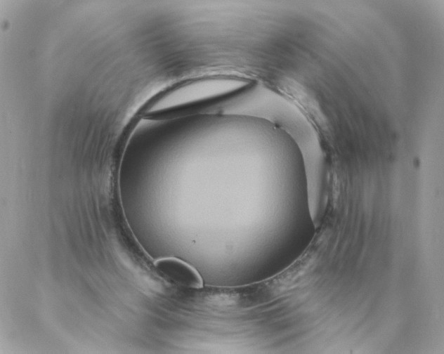 X0000087380156200705041954