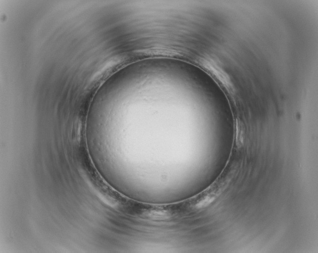 X0000087380157200705041954