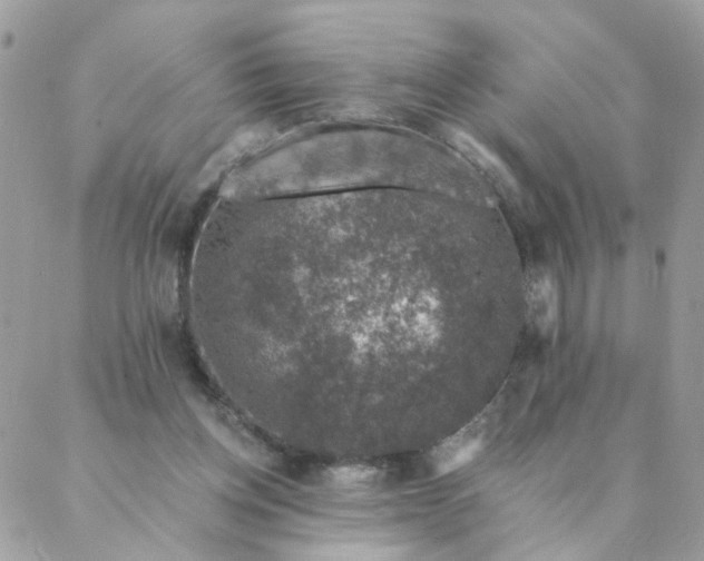 X0000087380158200705041954