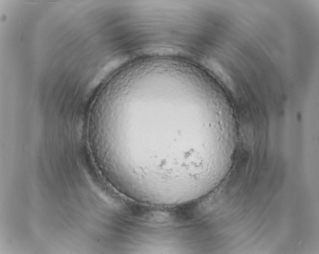 X0000087380159200705041954