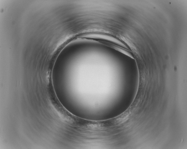 X0000087380160200705041954