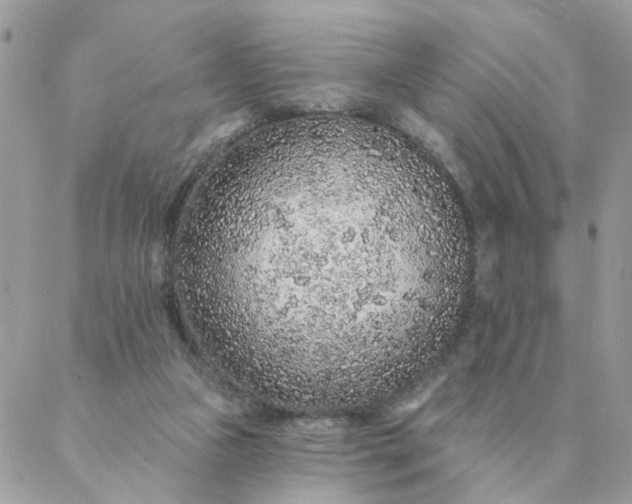 X0000087380161200705041954