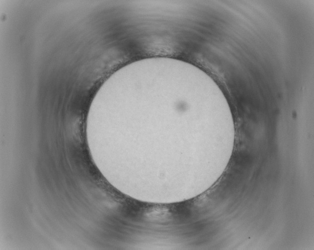 X0000087380162200705041954