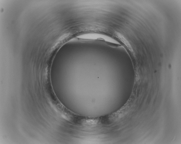 X0000087380163200705041954