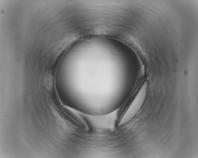 X0000087380164200705041954