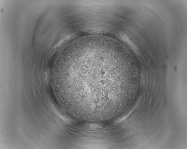 X0000087380165200705041954