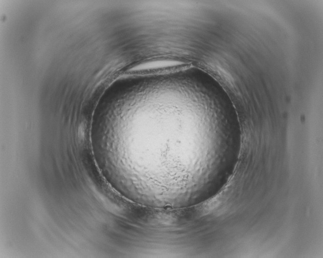 X0000087380166200705041954