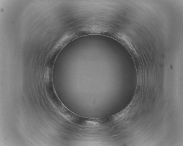 X0000087380167200705041954