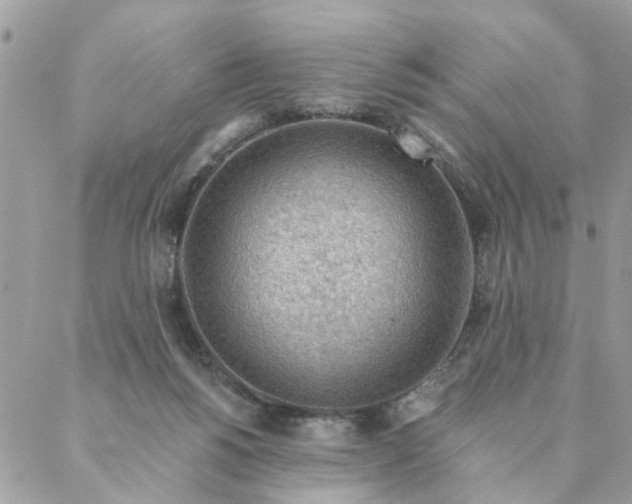 X0000087380168200705041954