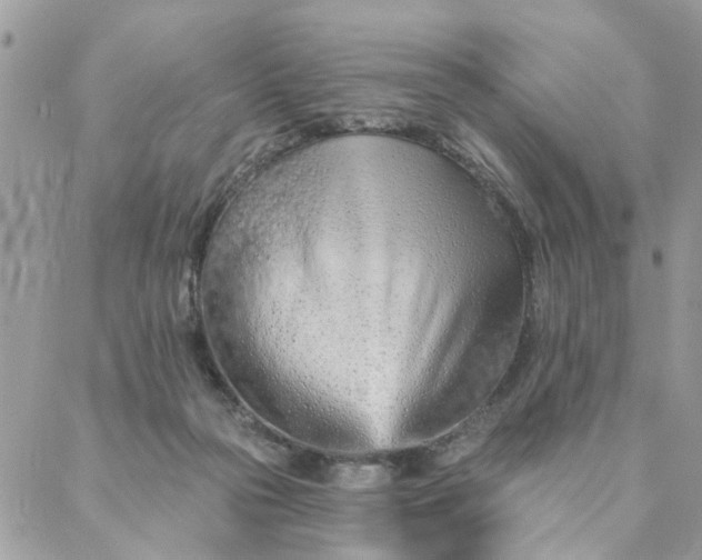 X0000087380169200705041954