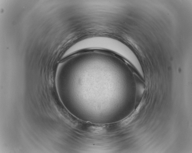 X0000087380170200705041954