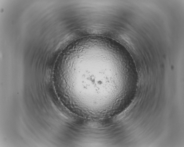 X0000087380171200705041954