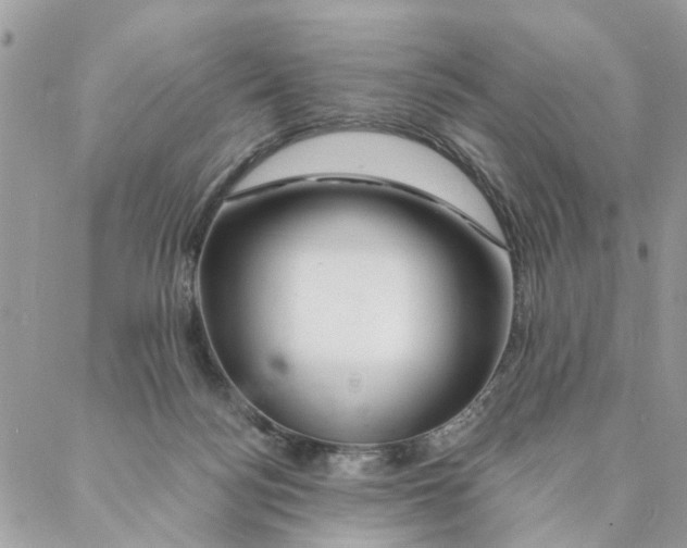 X0000087380172200705041954