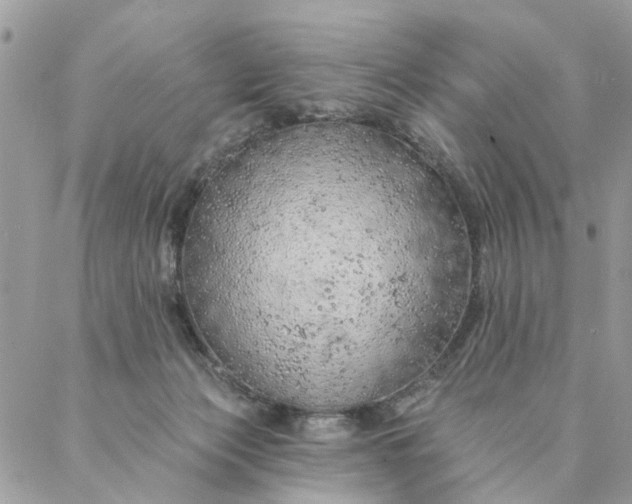 X0000087380173200705041954