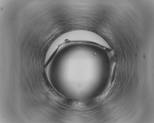 X0000087380174200705041954