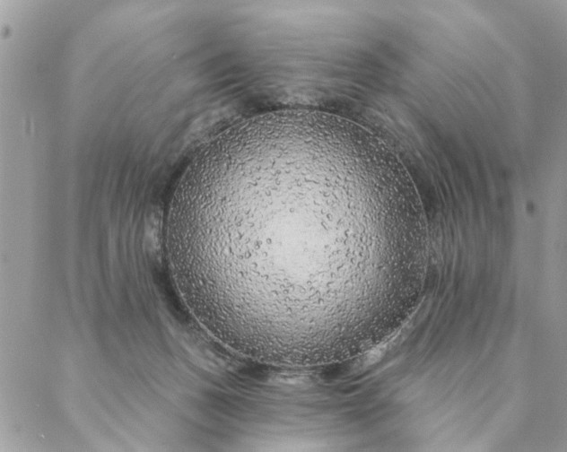 X0000087380175200705041954