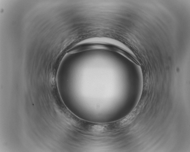 X0000087380176200705041954