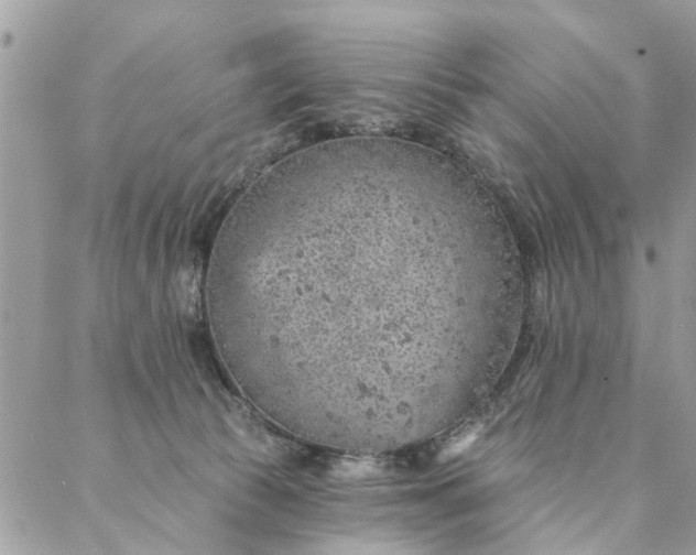 X0000087380177200705041954