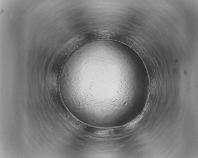 X0000087380178200705041954