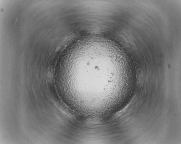 X0000087380179200705041954