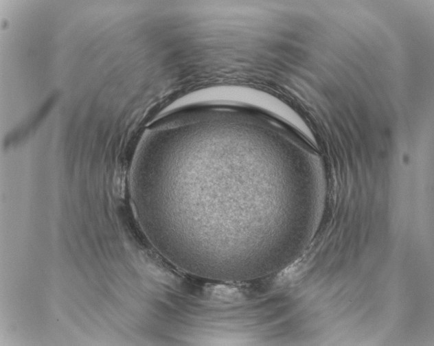 X0000087380180200705041954