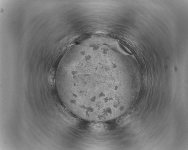 X0000087380181200705041954