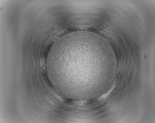 X0000087380182200705041954