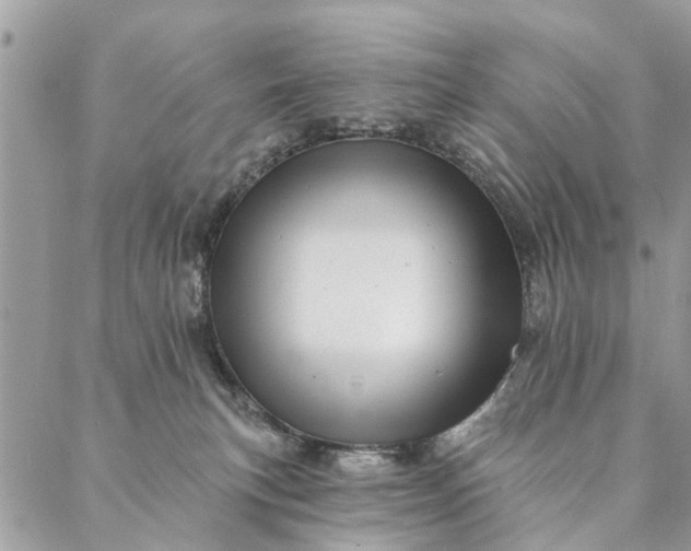 X0000087380183200705041954