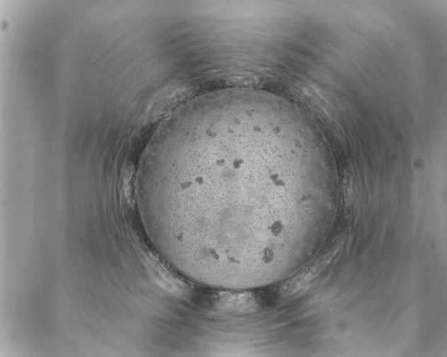 X0000087380185200705041954