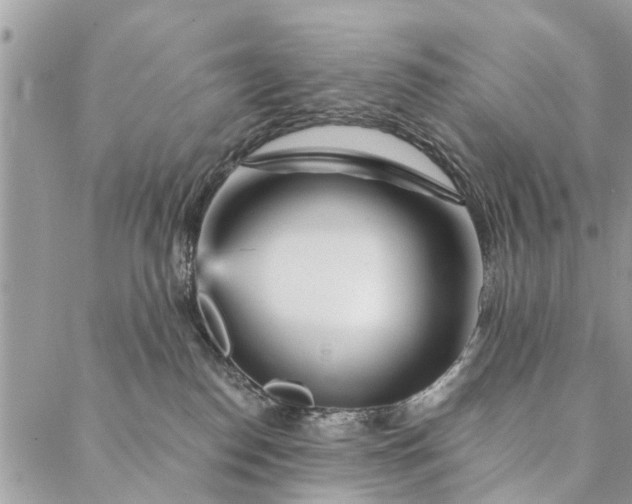 X0000087380186200705041954