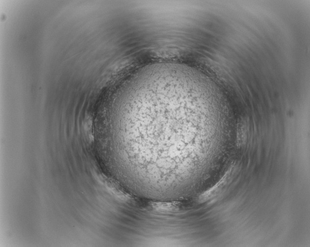 X0000087380187200705041954