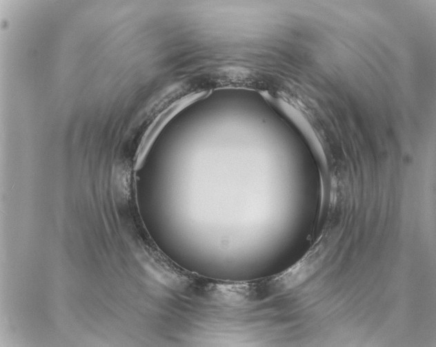 X0000087380188200705041954