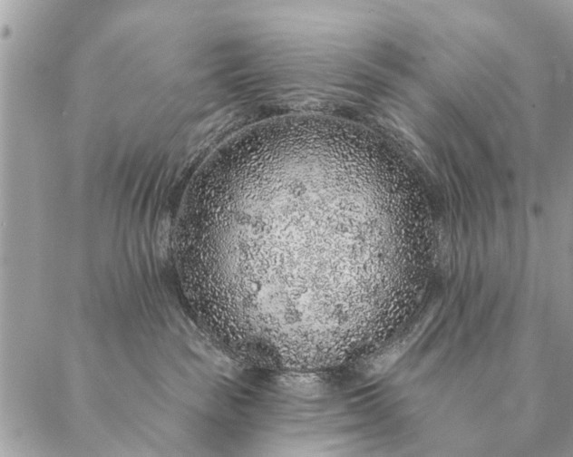 X0000087380189200705041954