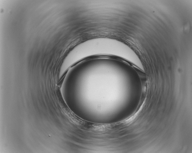 X0000087380190200705041954