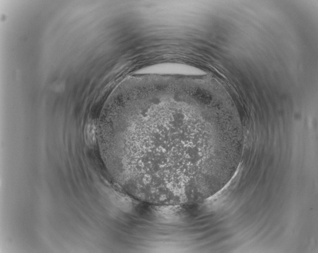 X0000087380191200705041954