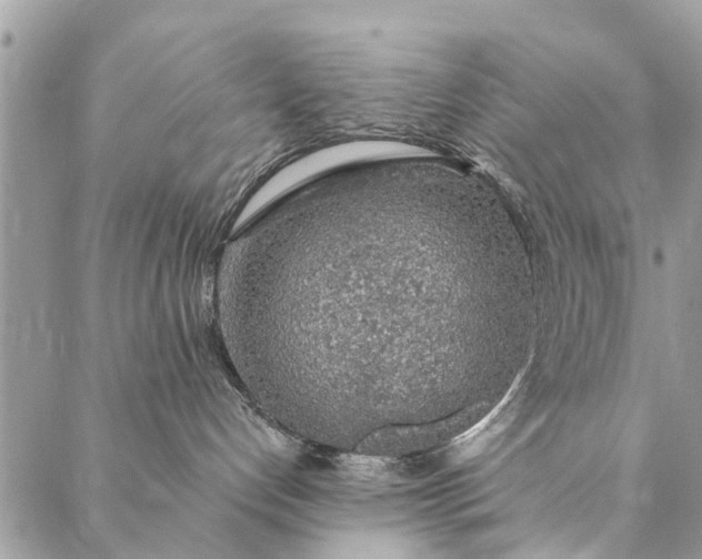 X0000087380192200705041955