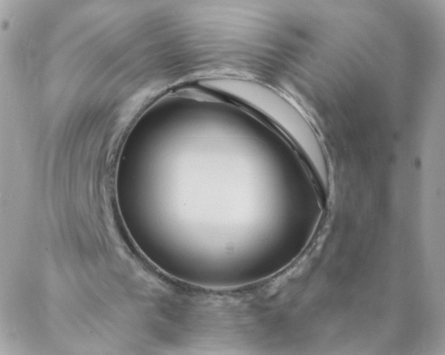 X0000087380193200705041954