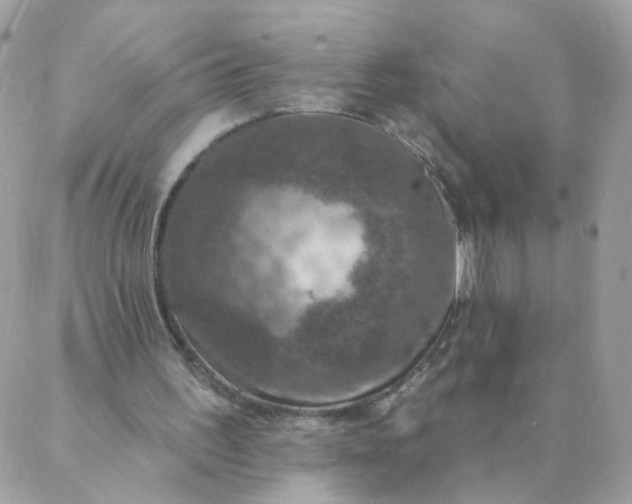 X0000087380195200705041954