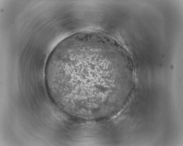 X0000087380196200705041954