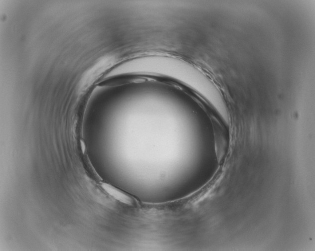 X0000087380197200705041954