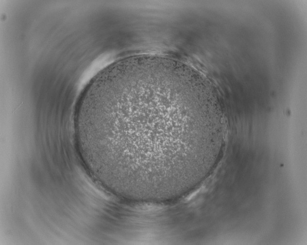 X0000087380198200705041954