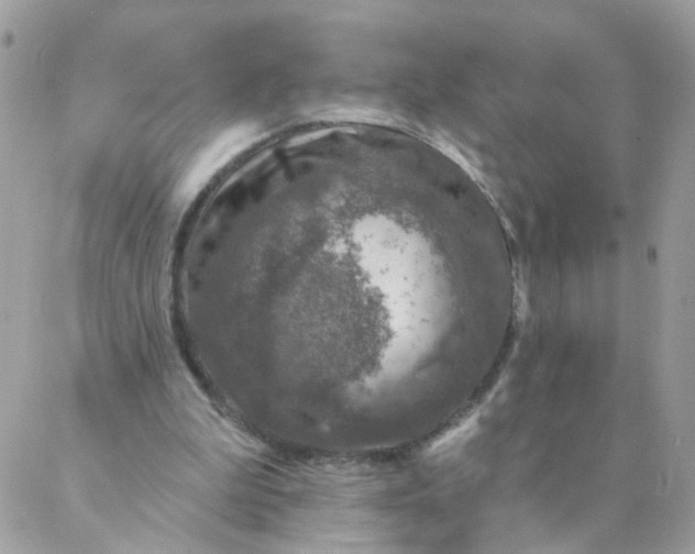 X0000087380199200705041954