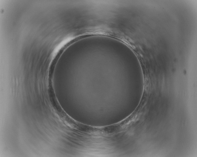 X0000087380200200705041954