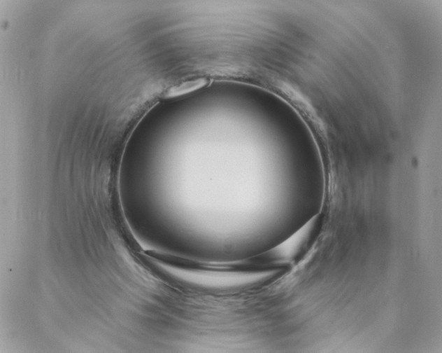 X0000087380201200705041954