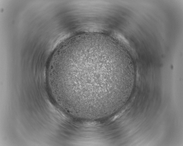 X0000087380202200705041954