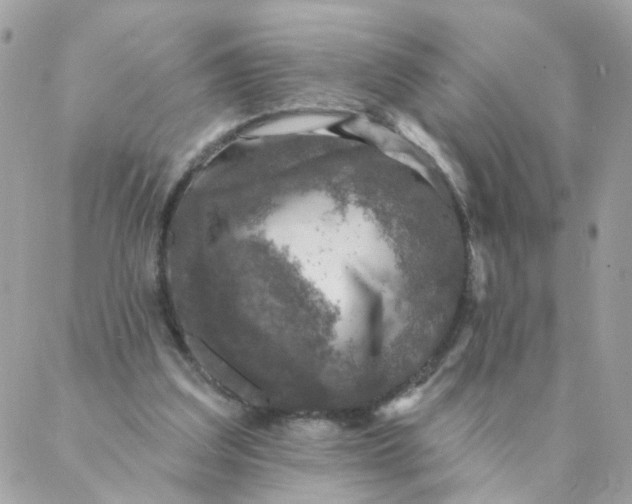 X0000087380203200705041954