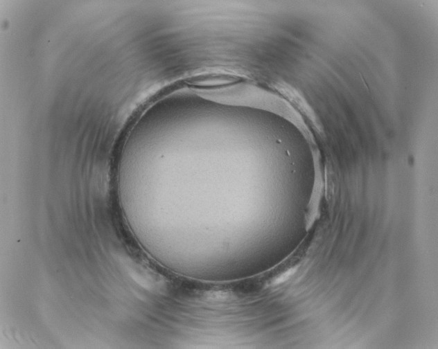 X0000087380204200705041954