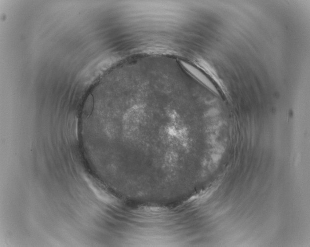 X0000087380205200705041954